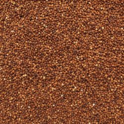 Organic Buckwheat Toasted Kasha