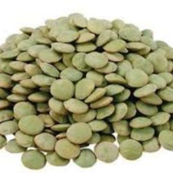 Organic Green Lentils
