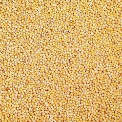 Organic Hulled Millet