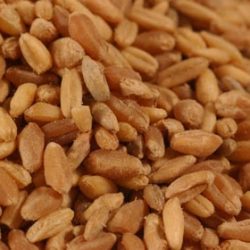 Rice Long Grain White