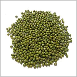Organic Mung Beans