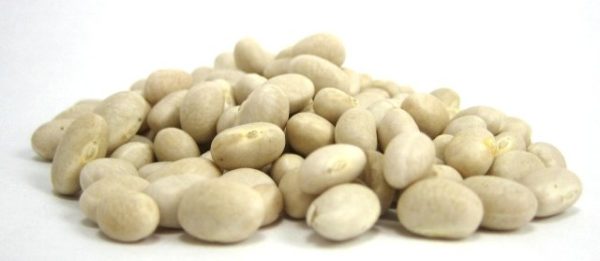Organic Navy Beans