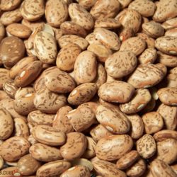Organic Pinto Beans