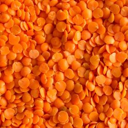 Organic Red Lentils (Hulled)