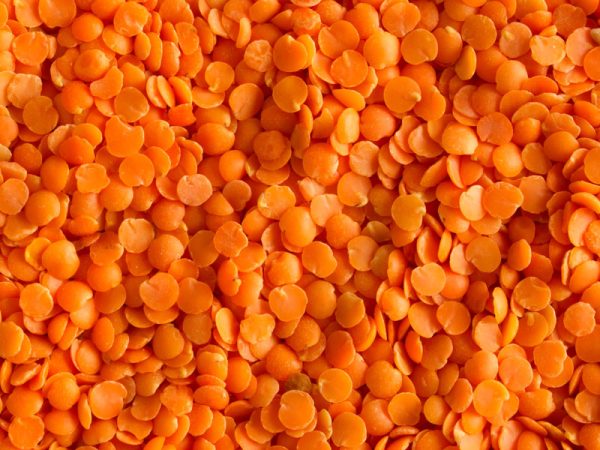 Organic Red Lentils (Hulled)