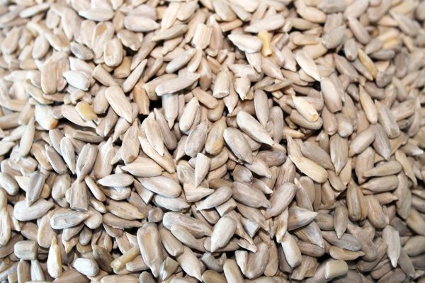 Organic Sunflower Seeds Hulled