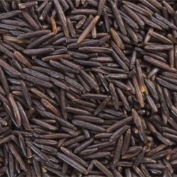 Organic Wild Rice Medium