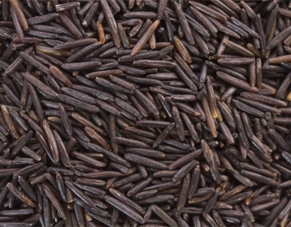 Organic Wild Rice Medium