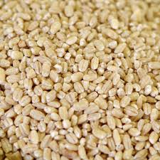 Pearled Barley