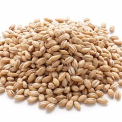 Pearled Durum Wheat