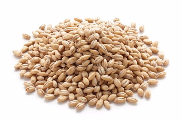 Pearled Durum Wheat