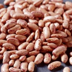 Organic Pinto Beans