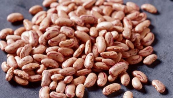 Organic Pinto Beans