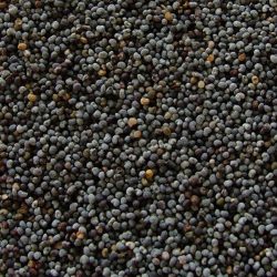 Poppy Seeds