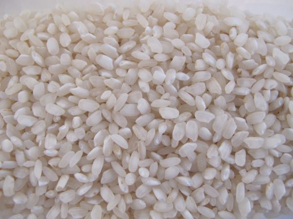 Rice Calrose White Short Grain