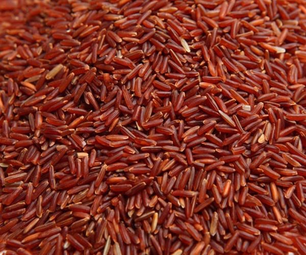 Rice