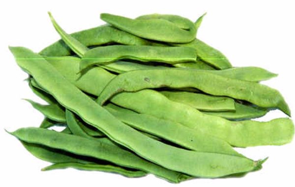 Romano Beans Canned - 6x100 oz