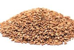 S Spelt Grain Farro