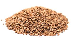 S Spelt Grain Farro