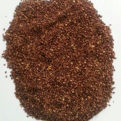 Sesame Seeds Brow N (Natural)