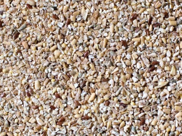 Seven Grain Cereal
