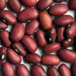 Small Red Mexican Beans