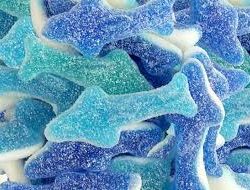 SOUR SHARKS