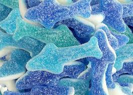 SOUR SHARKS