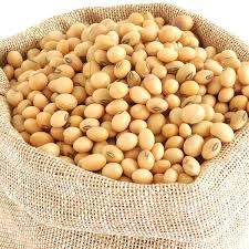 Soya Beans Roasted with Salt