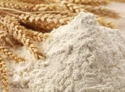 Special Whole Wheat Flour W438