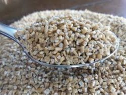 Steel Cut Oats