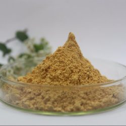 Sugar - Fruit Powder Instant