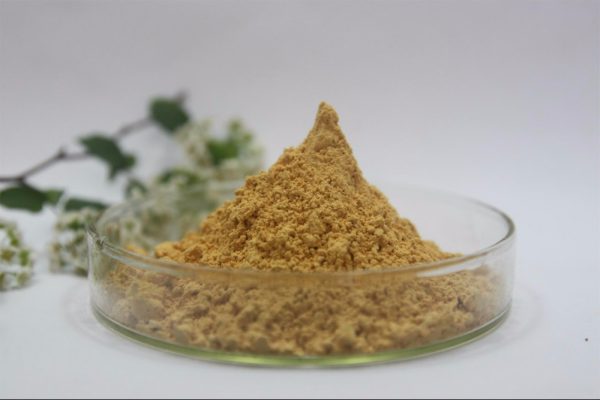 Sugar - Fruit Powder Instant