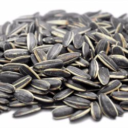 Sunflower Seeds In Shell Raw