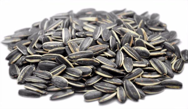 Sunflower Seeds In Shell Raw