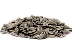 Sunflower Seeds Roasted Salted