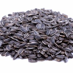 Sunflower Seed Pieces