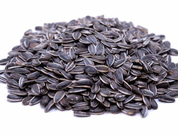 Sunflower Seed Pieces