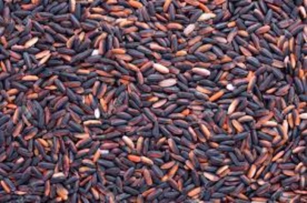 Sweet Rice Black