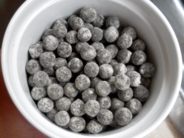 Tapioca Pearl - Large