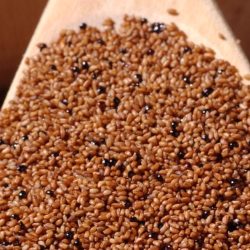 Teff Grain