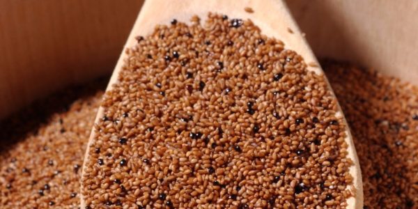 Teff Grain