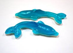 VIDAL GIANT DOLPHINS