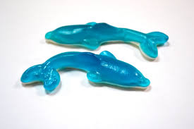 VIDAL GIANT DOLPHINS