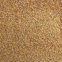 Organic Whole Wheat Hi-Rise Flour Stone Ground