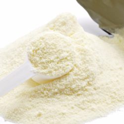 Whole Milk Powder Non Instant