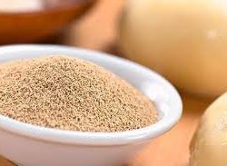 Yeast-Dry Act.Coated 11.