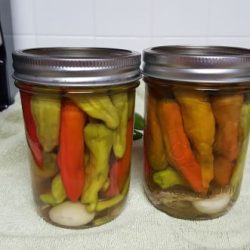 Pickled Pepperoncini
