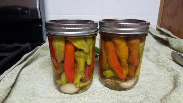 Pickled Pepperoncini