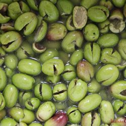 Calabrese Cracked Olives